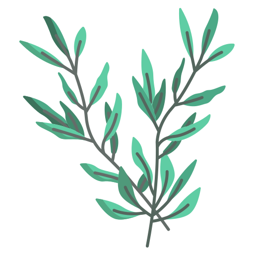 icono aromáticas